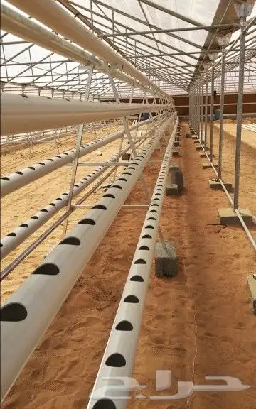 زراعة مائية 3