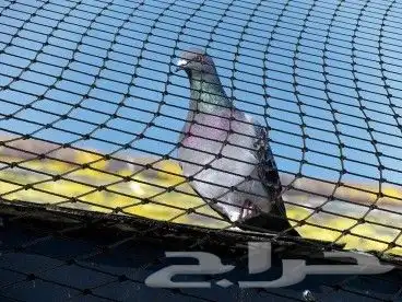 شبك حماية للأطفال والمسبح والسطوح 6