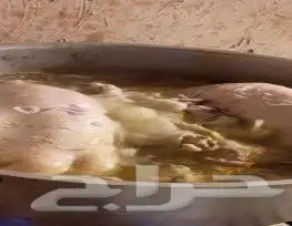 طباخ متنقل 7