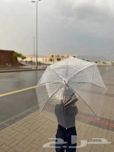 مظله مطر شفاف 0