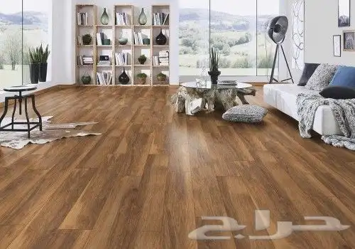 اصباغ ديكورات عامه مرايات باركيه 4