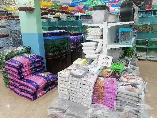 طيور قطط أسماك مستلزمات 2