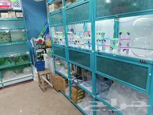 طيور قطط أسماك مستلزمات 8