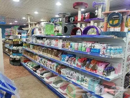 طيور قطط أسماك مستلزمات 9