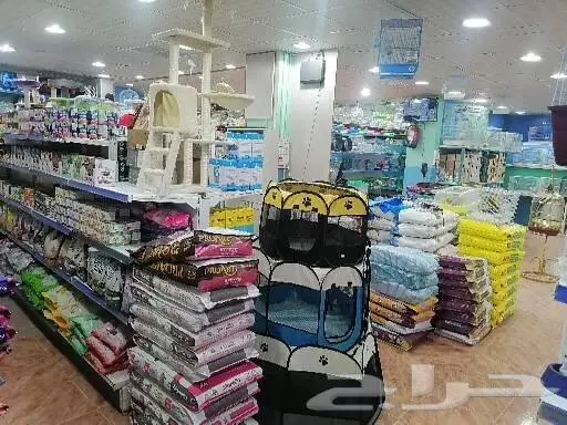 طيور قطط أسماك مستلزمات 12