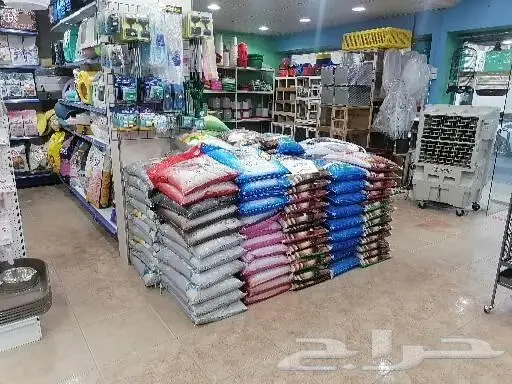 طيور قطط أسماك مستلزمات 13