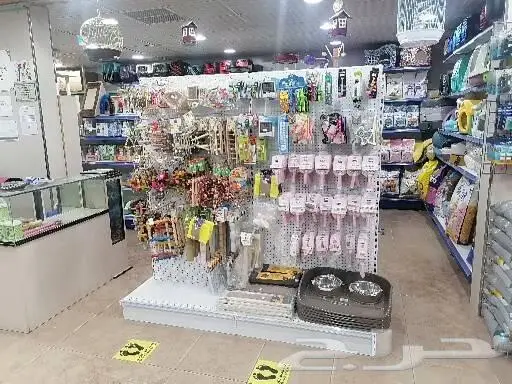 طيور قطط أسماك مستلزمات 14