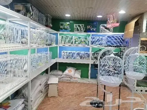 طيور قطط أسماك مستلزمات 16