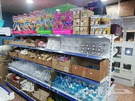 طيور قطط أسماك مستلزمات 19