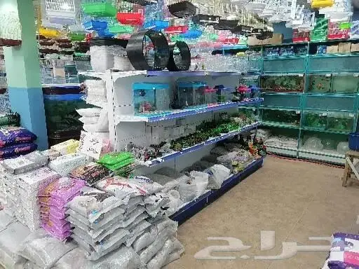 طيور قطط أسماك مستلزمات 20