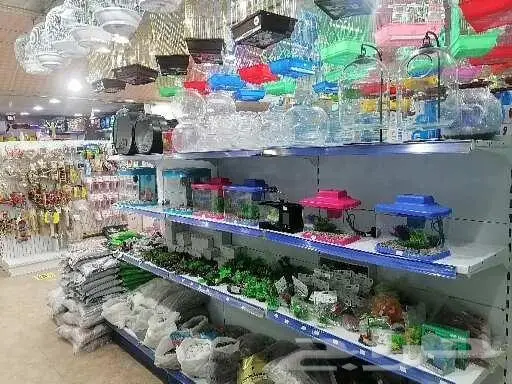 طيور قطط أسماك مستلزمات 21