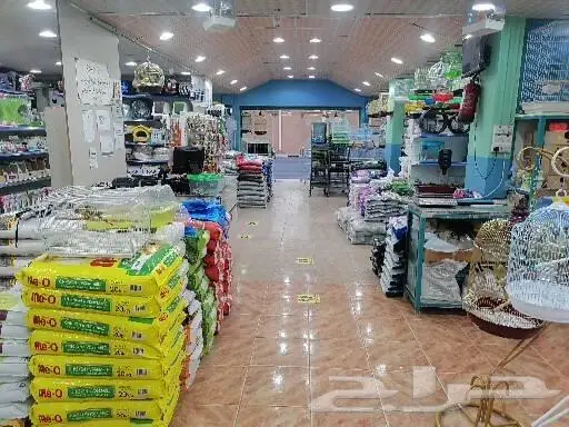 طيور قطط أسماك مستلزمات 22