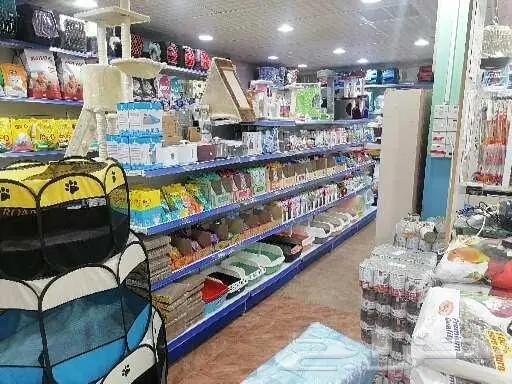 طيور قطط أسماك مستلزمات 25