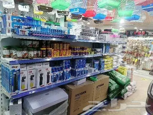 طيور قطط أسماك مستلزمات 29