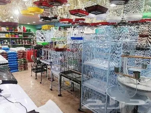 طيور قطط سمك مستلزمات 25