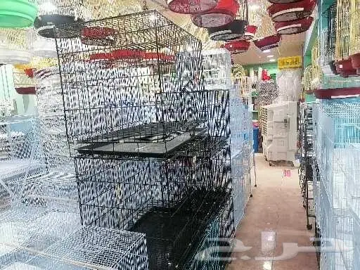 طيور قطط سمك مستلزمات 26