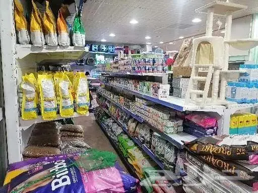 طيور قطط سمك مستلزمات 38
