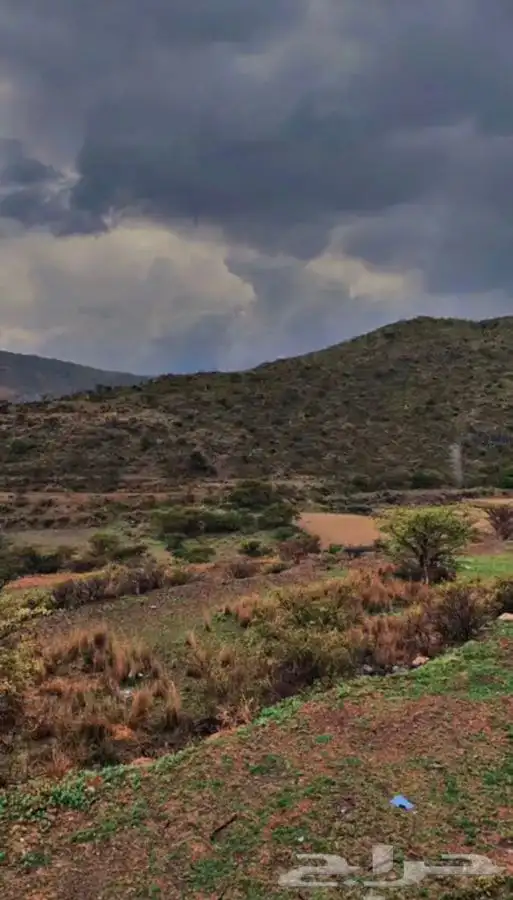 السودة بجلسة خارجية داخل السكن اطلالة خاصة 7