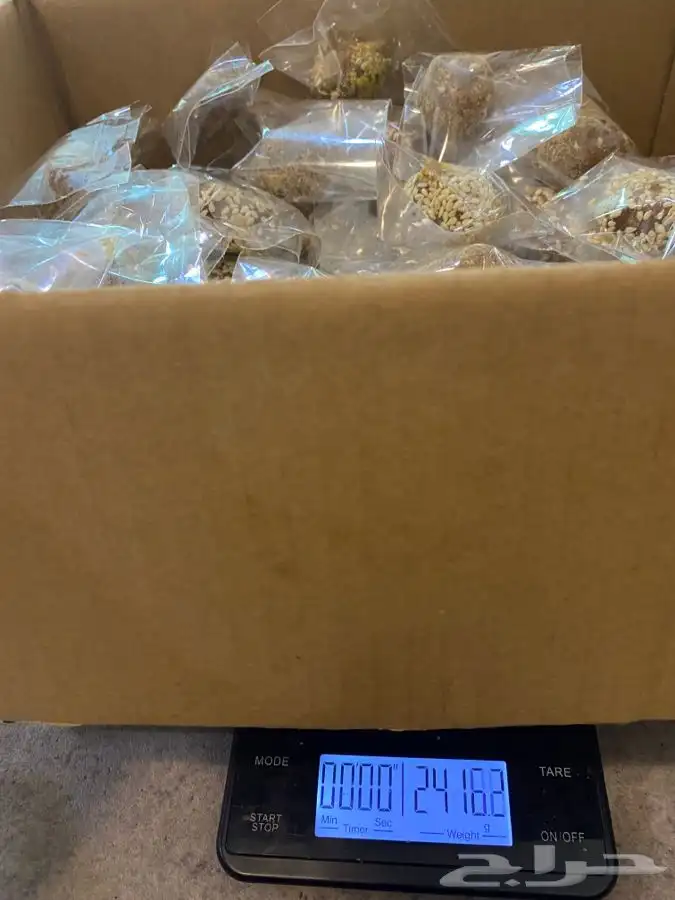 تمريه منوعه 42