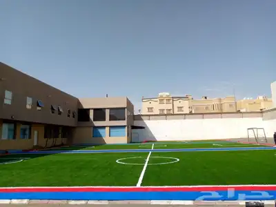 عشب صناعي جيزان انجيله تنسيق حدائق انجيله 4