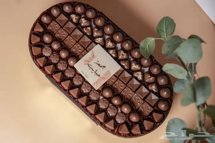 مصوره سعوديه محترفة بالشرقية 3