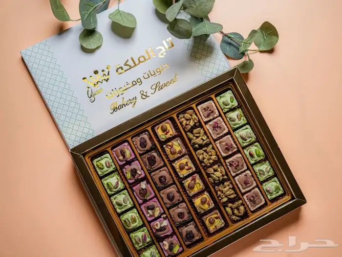 مصوره سعوديه محترفة بالشرقية 5