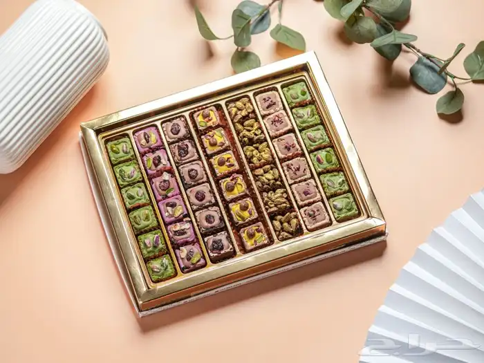 مصوره سعوديه محترفة بالشرقية 4