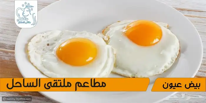 تصميم فديوهات عرض شاشات محلات ومطاعم 7