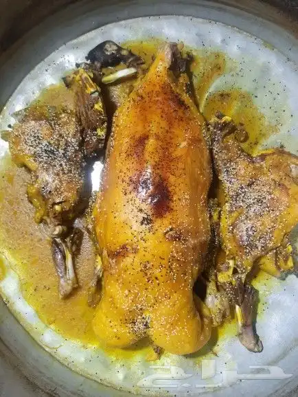طباخ متنقل 13
