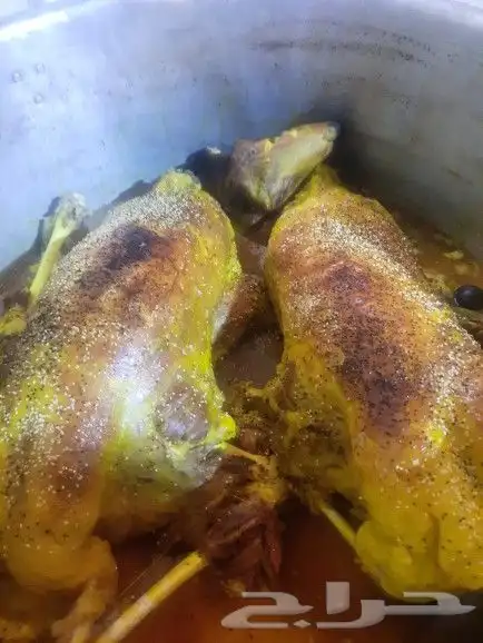 طباخ متنقل 12