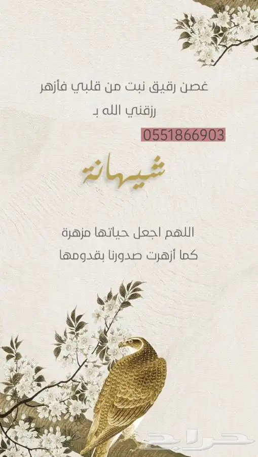 بشارة  بشارات  تصاميم  تصميم  مهارات  رقمية  حسب _الطلب 4