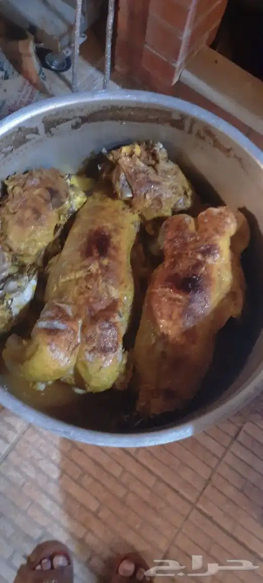 طباخ متنقل 11