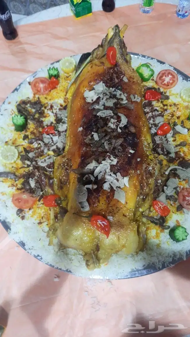 طباخ متنقل 10