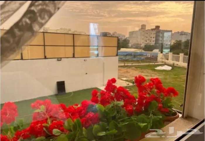 للايجار الشهري استراحة بوسط المدينه 6