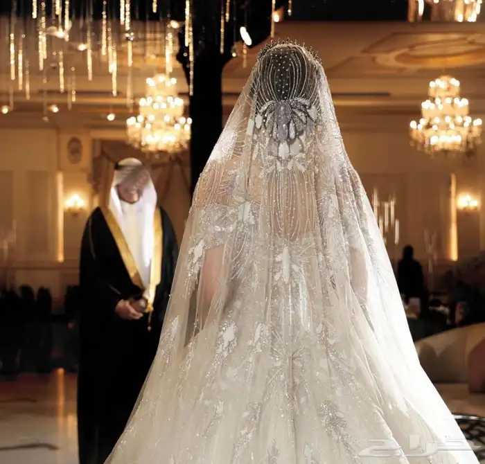 مصورة عرايس 5