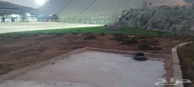 ثيل طبيعي c2000 نجيله طبيعي 2