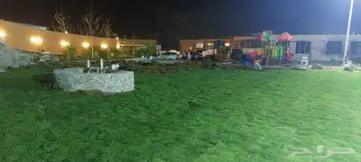 ثيل طبيعي c2000 نجيله طبيعي 7