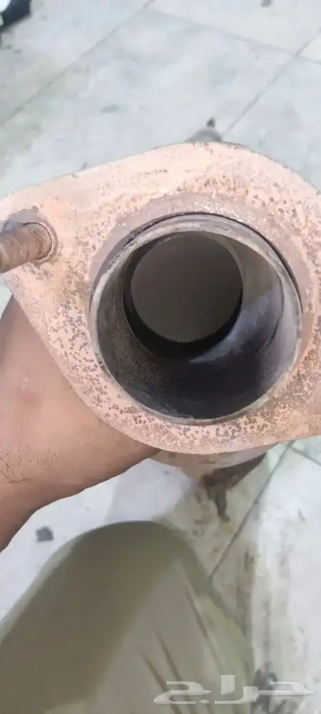 دبات تلوث وكاله مليانه 0