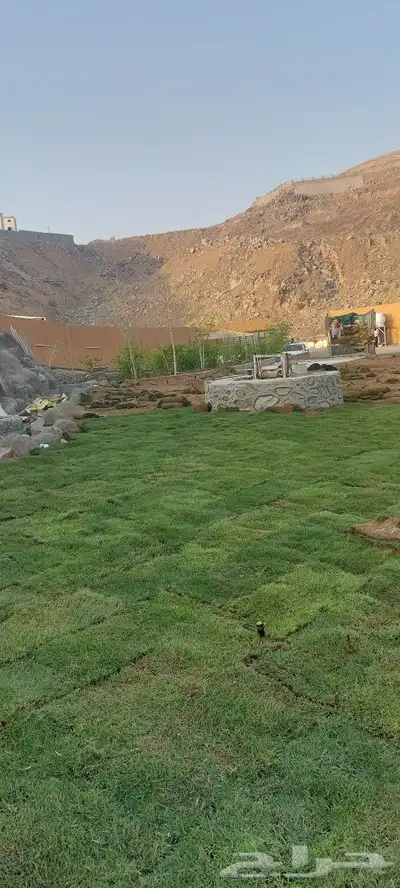 ثيل طبيعي c2000 نجيله طبيعي 0