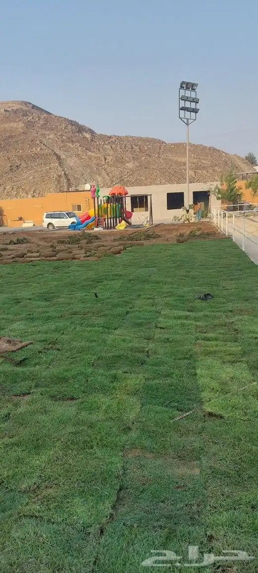 ثيل طبيعي c2000 نجيله طبيعي 1