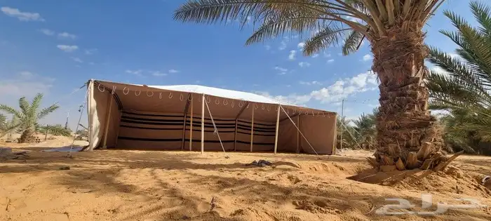 بيت شعر شمالي بدوي _ بيت القطبة 9