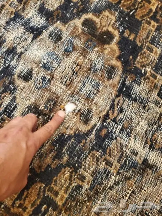 سجاد اصفهاني تراث (انتيك) antique 4