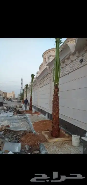 جميع انواع انخيل 4