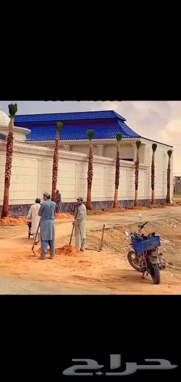 جميع انواع انخيل 0