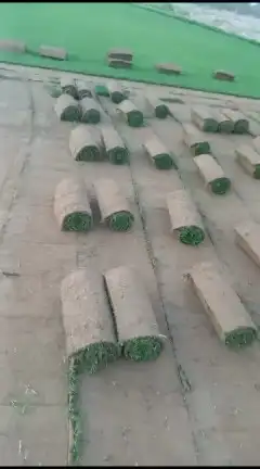 ثيل طبيعي c2000 4