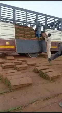 ثيل طبيعي c2000 1