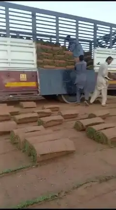 ثيل طبيعي c2000 2
