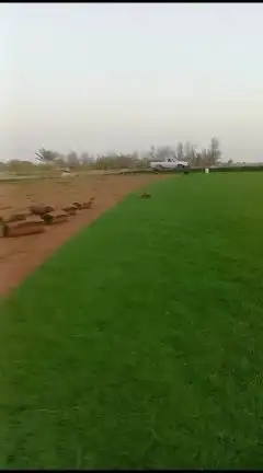 ثيل طبيعي c2000 5