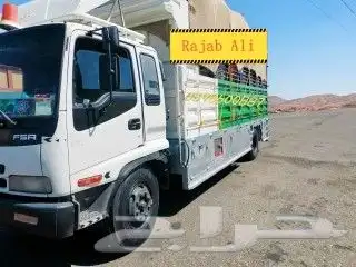 دينا لوري رياض شرورة نجران 0