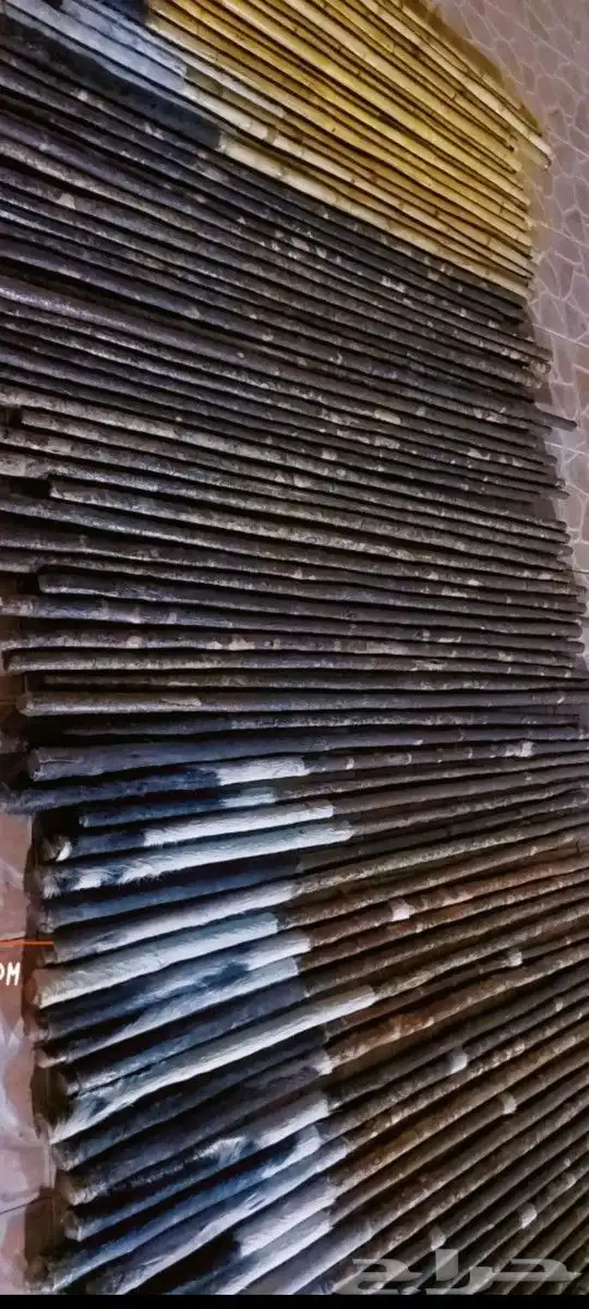 عصي مزمار النوع لوز وخرنوب مصري وقصب مصري وبومب هندي 9